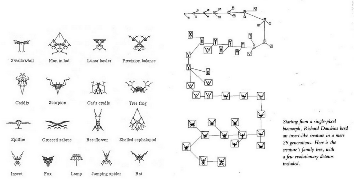 Product Families Assignment – Summer&nbsp;2015
