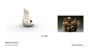 Family of Products.007