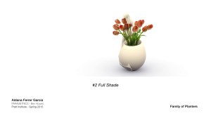 Family of Products.012