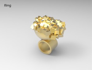 Parametrics_Final presentation13