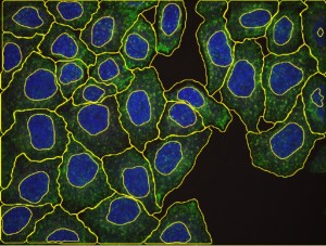 601a3aad7ef29a0913f18d3c212f93a5