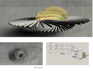 Kun_Lin_Plates_Family7
