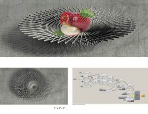 Kun_Lin_Plates_Family8