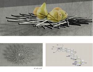 Kun_Lin_Plates_Family9