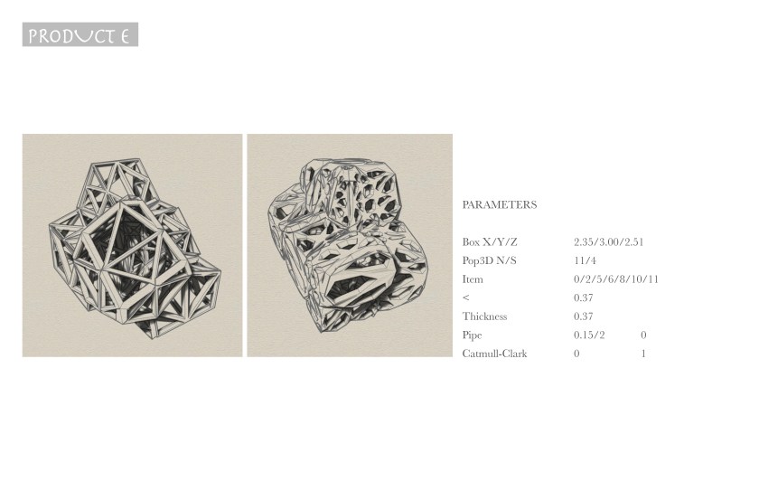 Product Families Presentation10