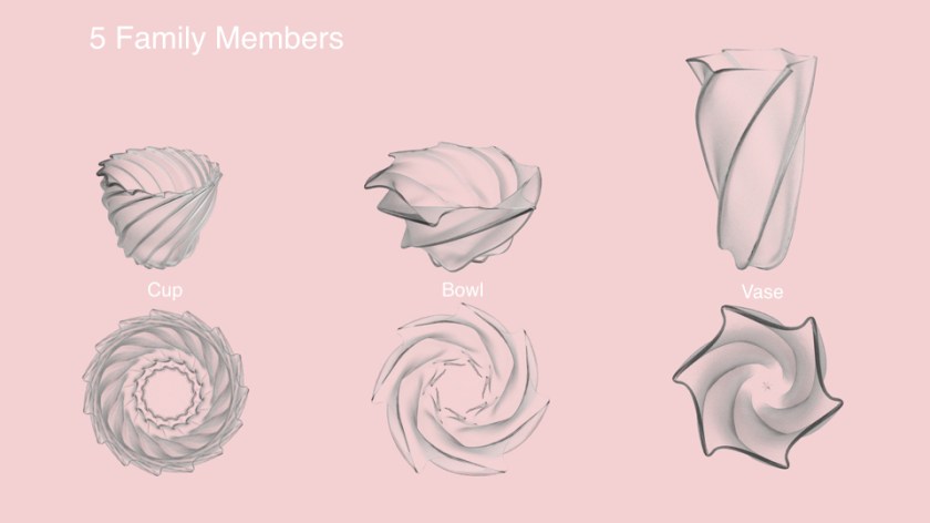 Functional Products Family (2).010